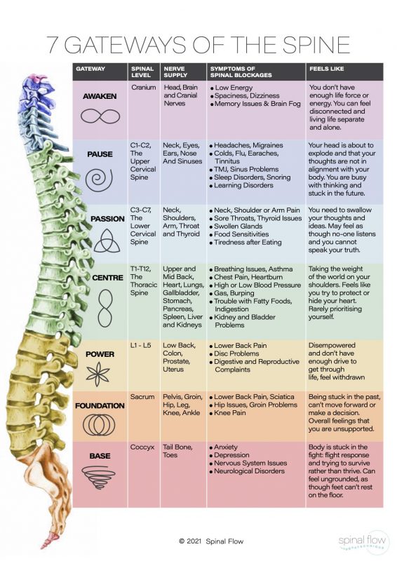 Thoracic Spine - Holistic Bodyworks